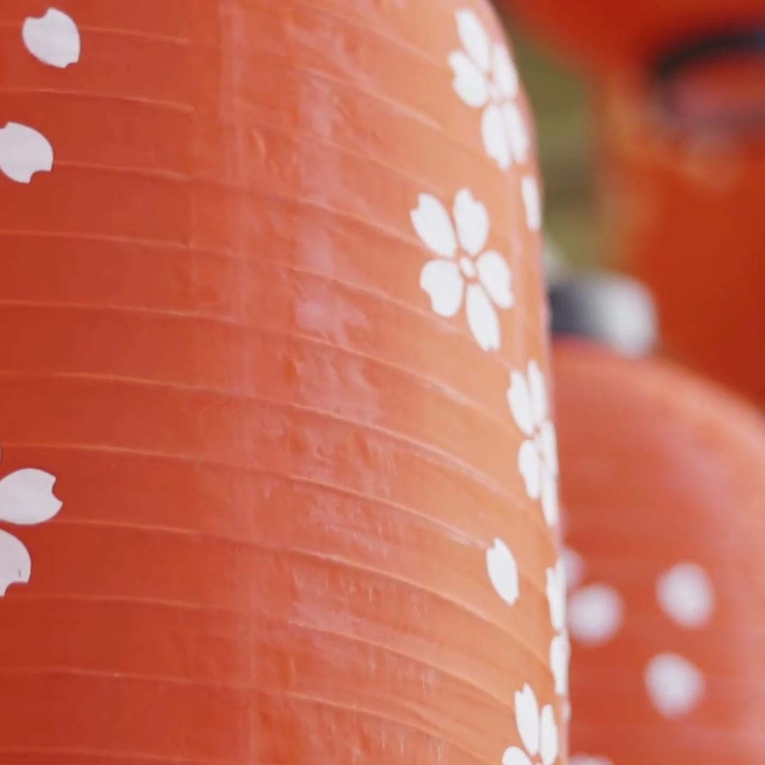 Red paper lanterns with cherry blossom patterns